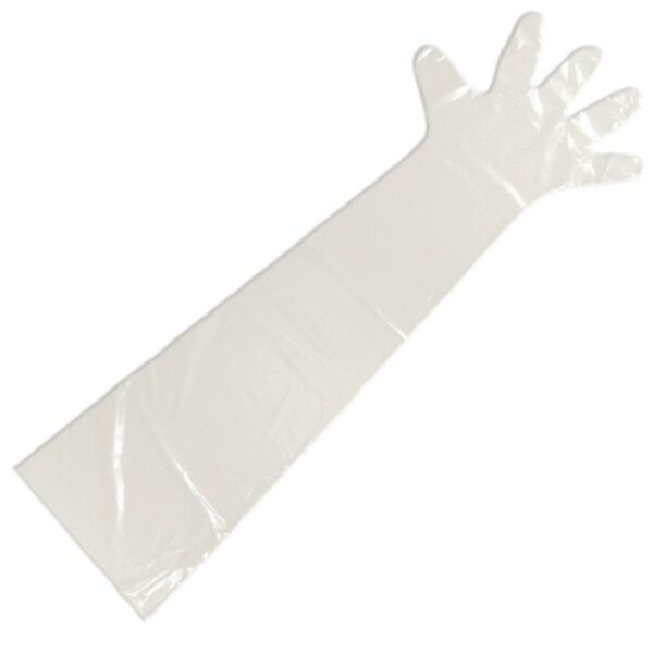 Shoulder Length Poly Gloves - Clear, 33"
