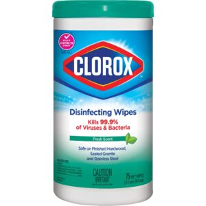 Clorox® Disinfecting Wipes - Fresh Scent, 75-Count